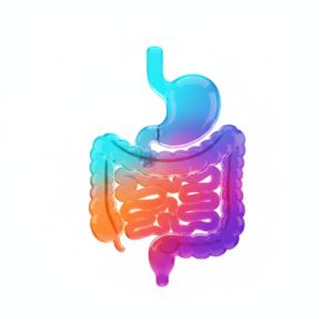 Salud Digestiva